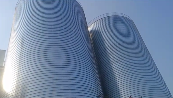 睢宁2座混凝土高架卷板仓